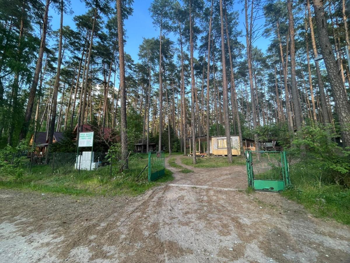 Domek Letniskowy Nad Jeziorem, Las, Mazury Wiartel Maly エクステリア 写真